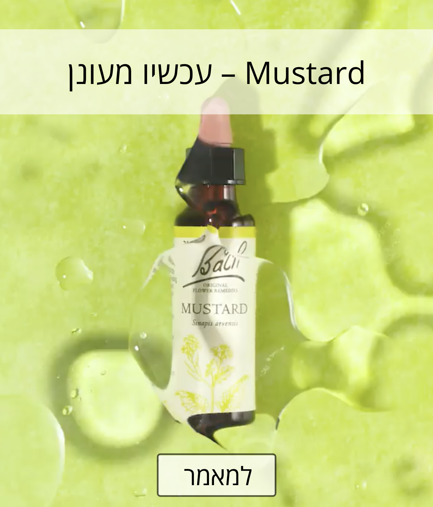 הבאך החודש - Mustard 2026